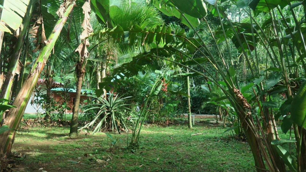 Casa Moabi Bed & Breakfast โกเกลส ภายนอก รูปภาพ