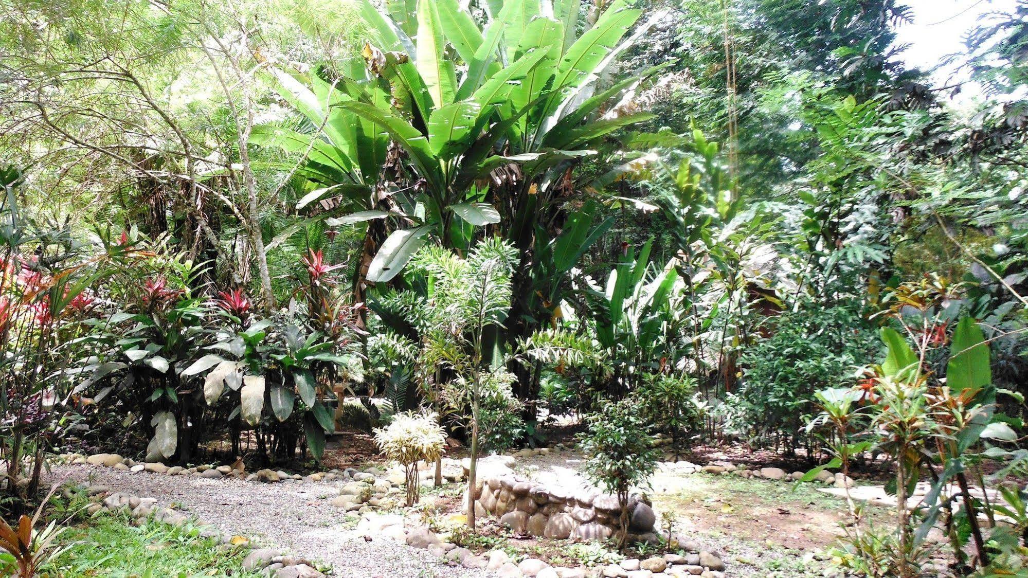 Casa Moabi Bed & Breakfast โกเกลส ภายนอก รูปภาพ